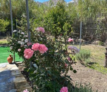 Livadi House | Theros house