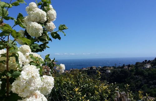 Ventabrun Villa | This splendid mas dating from the beg of the century SEA VIEW - POOL - WHIRLPOOL