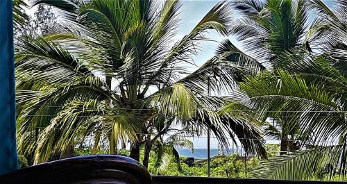 Candolim Resort | Thomson by the Beach