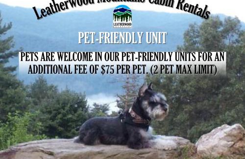 Ferguson House | Three Daughters