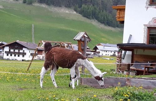 Schmirn Apartment | Thumeserhof