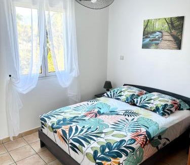 Bois d'Olives Apartment | Ti Kaz Apaya