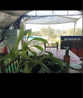 Almonte Other | Tienda acogedora con piscina "Amantes de la naturaleza" 1