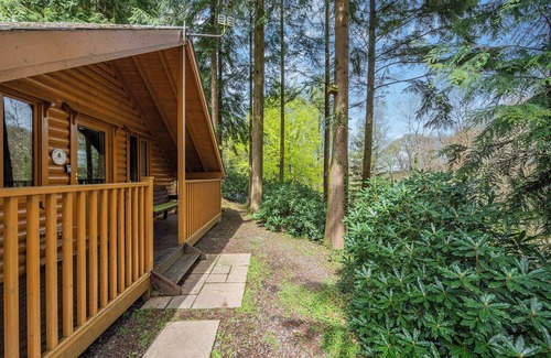 Westleigh Ski Chalet | Timber lodge set in an elevated position with views of the lakes.