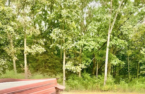 Harpers Ferry Cabin | Timber Ridge hideaway with outdoor hot tub & Pool