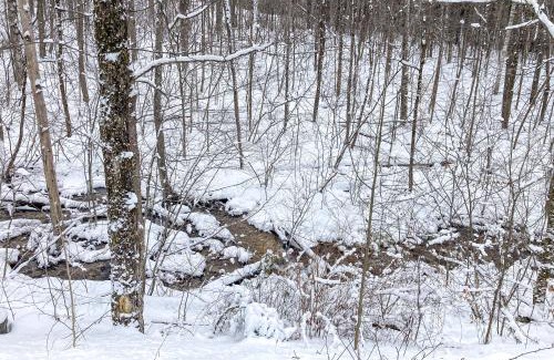 Dorset House | Timberbrook