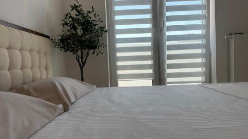 Wawer Apartment | TIMELESS Apartment