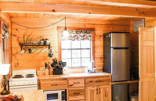 Leeper Cabin | Tiny Bear Log Cabin near Cook Forest State Park