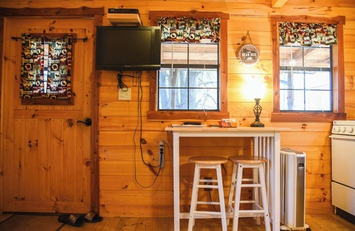 Leeper Cabin | Tiny Bear Log Cabin near Cook Forest State Park