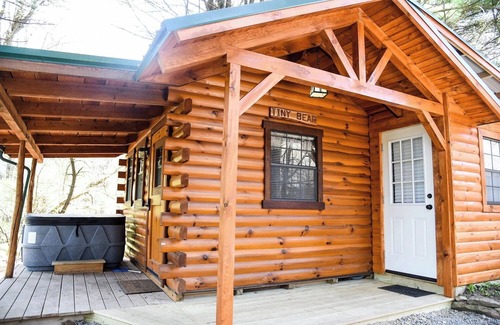 Leeper Cabin | Tiny Bear Log Cabin near Cook Forest State Park