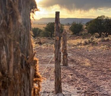 Kanab House | Tiny Cabin #1 at The Cedars