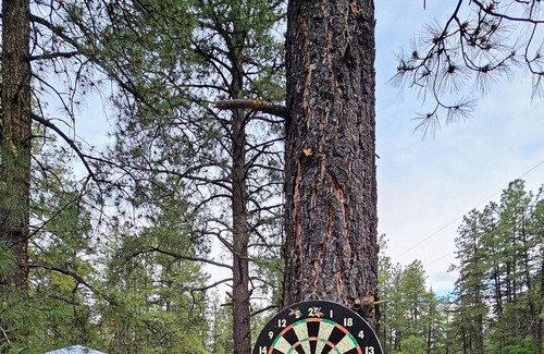 Jemez Springs Cabin | Tiny Home & Jemez Springs Spa