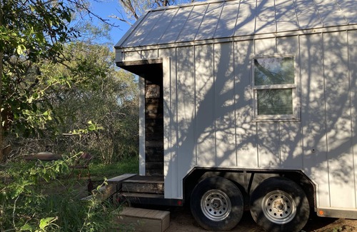 Elmendorf Apartment | Tiny home nestled in a small patch of forest 20 minutes south of San Antonio.