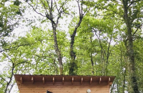 Vensac Ski Chalet | Tiny House Dans les Bois à 10 Minutes de L'océan