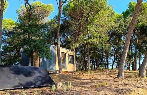 Mondragon House | Tiny-House Grand Confort - Salle de bain italienne - Lit King - 10 min A7