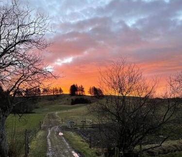 Frederikshavn Municipality House | Tiny House i storslået natur