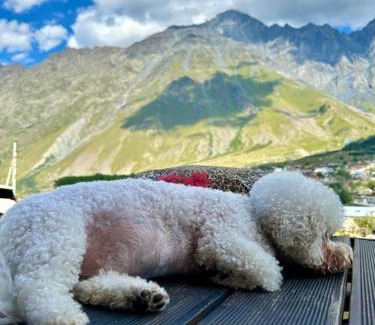 Stepantsminda House | Tiny House Kazbegi