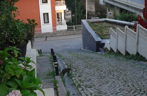 Ortakoy House | Tiny studyo . Entrancefloor View /Beşiktaş/Ortaköy / $18