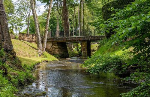 Guisborough Resort | Tocketts Mill Country Park