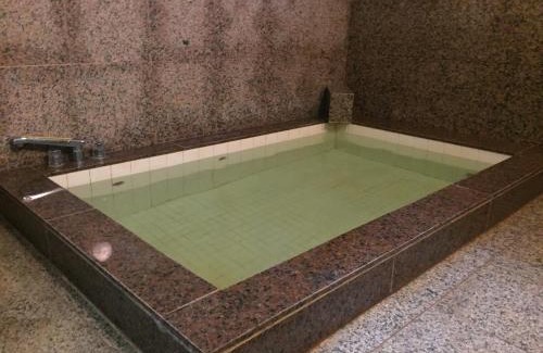 Nikko Hotel | Tokiwa Ryokan