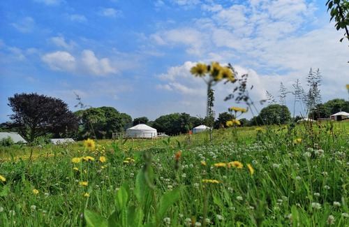Newquay Cabin | Top Dog - A luxury dog friendly Yurt in stunning 62 acre historic estate near Newquay