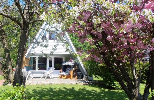 Damp House | TOP facilities, close to the beach, very quiet location near the forest, large garden, WLAN