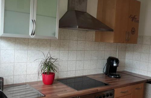 Kaiserslautern Apartment | TOP gelegenes Appartment tla mit Garten für bis zu 5 Personen
