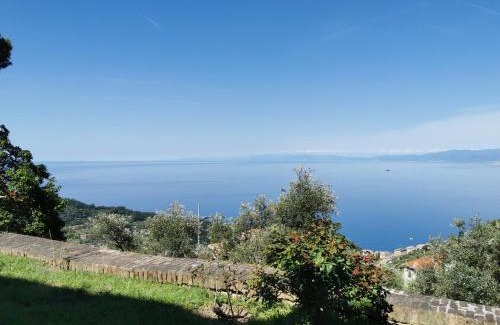 Recco Apartment | Top Hill Genoa