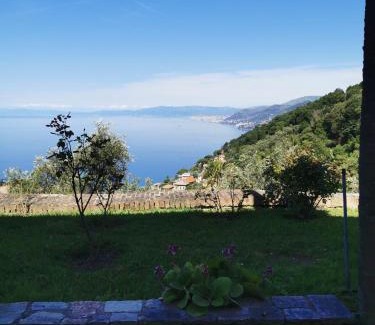Recco Apartment | Top Hill Genoa
