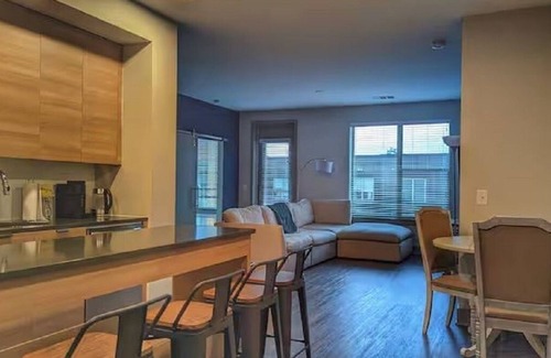 Northeast Apartment | Top Level Modern Luxury Apt in Washington DC