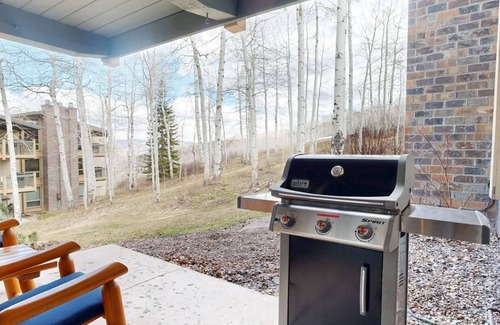 Snowmass Village Condo | Top of the Village - Slope 102