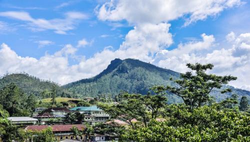 Hatton House | Top View