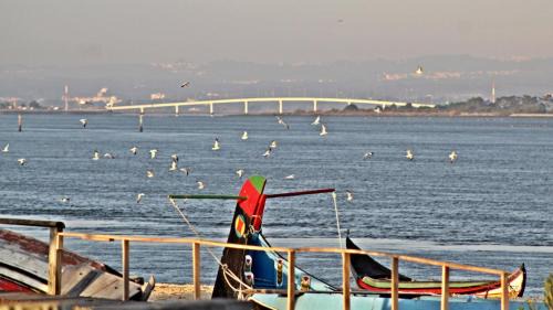 Torreira Other | Torreira Camping & Bungalows