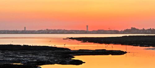 Torreira Other | Torreira Camping & Bungalows