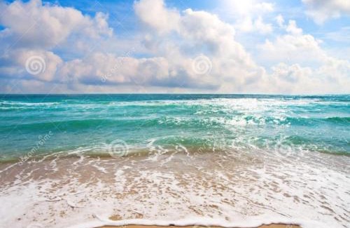 Torrevieja Apartment | Torrevieja Playa Cura