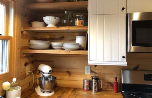 Buena Vista Cabin | Town Hut - Cozy haven on BV's mountain side, EV charging