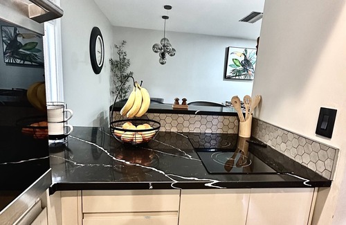 Temple Terrace House | Townhouse New renovated SPABath USF Moffit B-Gardn