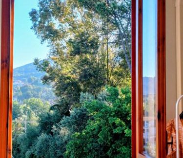 Montecorice Apartment | Tra mare e collina c'è Belmare