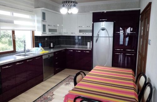 Trabzon Apartment | Trabzon Gürbulakta kiralık villa