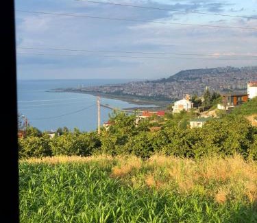 Trabzon Cabin | Trabzon Tosun Bungalov