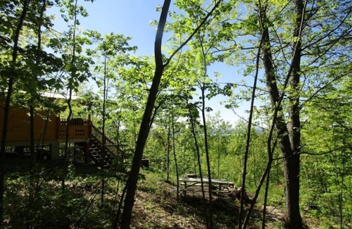 Golden Lake Cabin | TRACKERS CABIN, VERY PRIVATE, HIKE IN, NO NEIGHBORS, PET FRIENDLY