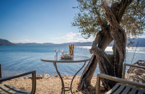 Mytilene House | Traditional Architecture Seafront Stone House in 25000sqm Olive Grove - C