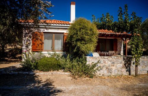 Mytilene House | Traditional Architecture Seafront Stone House in 25000sqm Olive Grove - C