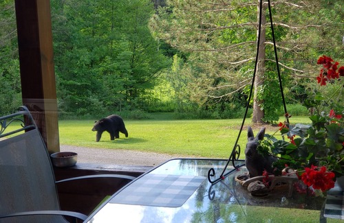Fairview House | Trail's End Guesthouse- Vacation Cabin