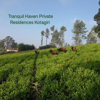 Kotagiri Bed & Breakfast | Tranquil Haven Kotagiri
