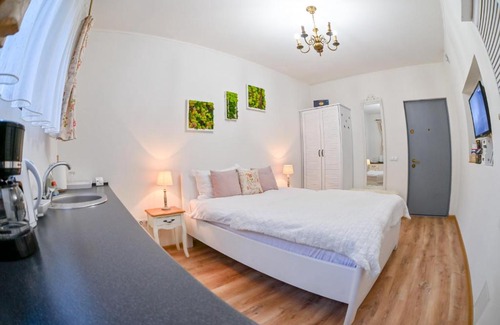 Center Apartment | Transilvania Studio