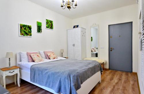 Center Apartment | Transilvania Studio