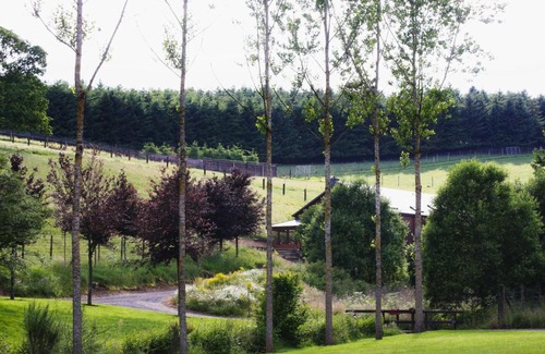 Fauvillers House | Traquebois