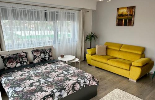 Tirgu Mures Apartment | Travel Apartment