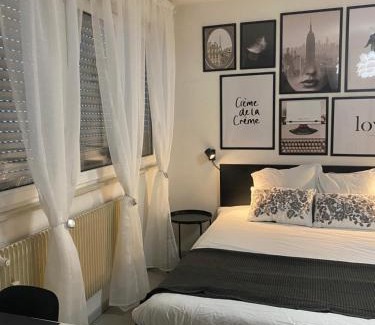 Mulhouse Apartment | Travel Homes - Le Bright'N Cosy en pleine ville